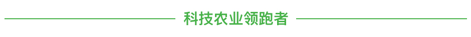 画板 1.jpg