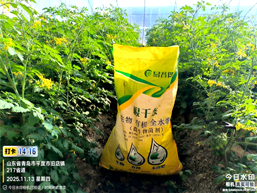 1763365545317718.jpg 01.jpg