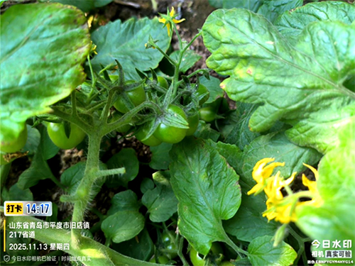 1763365577877868.jpg 03.jpg