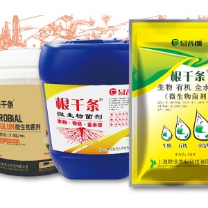 根千条