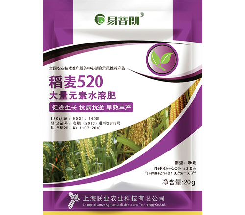稻麦520 20g
