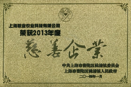 2013年度慈善企业