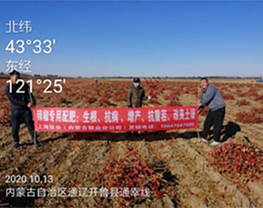 无码内射中文字幕岛国片-99久久国产热精品-欧美日韩久久久精品A片-精品夜夜爽欧美毛片视频-50岁的牲欲强老熟女业务人员在内蒙古通辽开鲁县水溶性肥料进行测产宣...