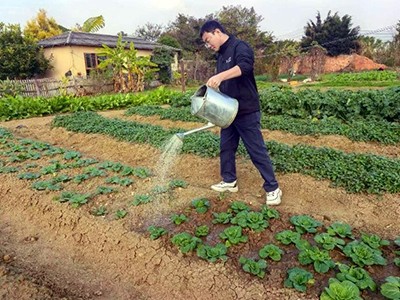沪滇携手，微生物菌剂开启农业新篇